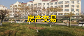 德国际betvlctor1946