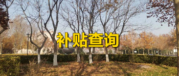德国际betvlctor1946